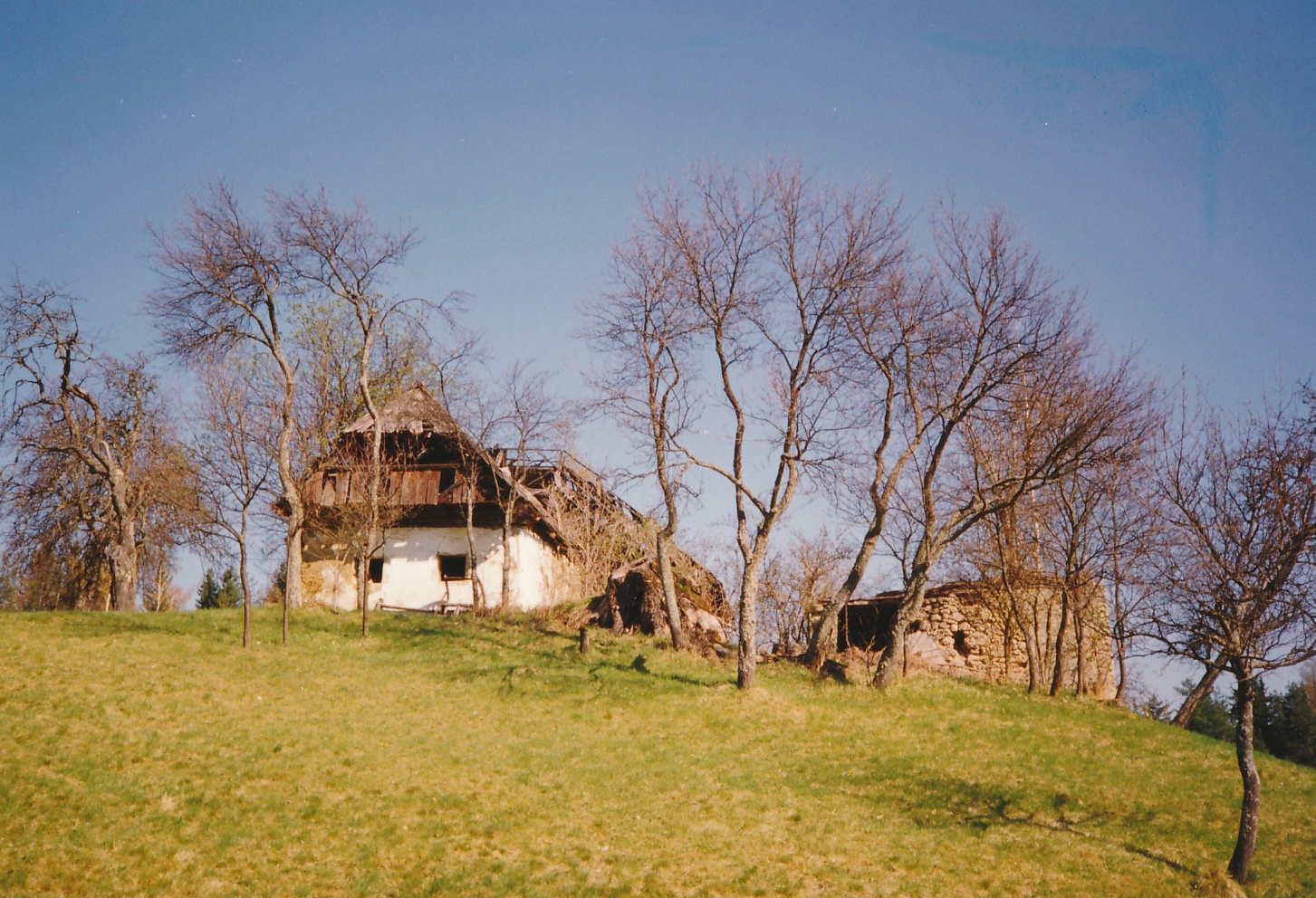 eika image